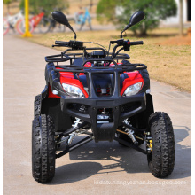 Four Strokes Automatic Utility ATV for Forest Road